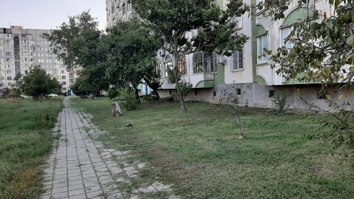Покос травы на Ворошилова, 31 и 33